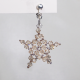 Star - Earrings Ara - 1